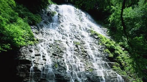 高效全自动数字化